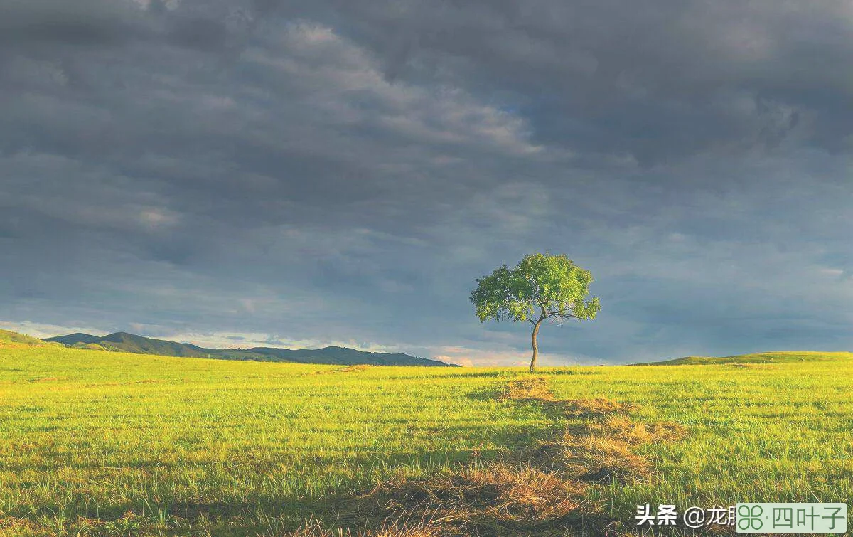 「阿泽带你玩内蒙」第17期：带你走进摄影圣地-乌兰布统草原