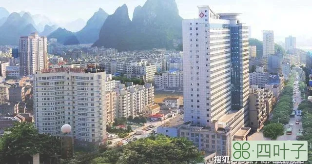 宜州(宜州特产)