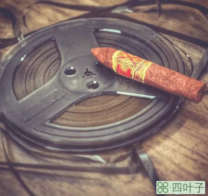 世界上最好的雪茄产地是哪里(全球十大雪茄主要产地)插图(5)