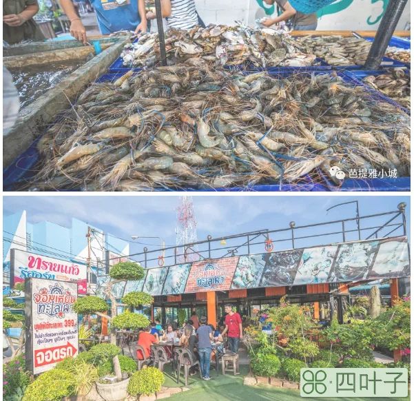 芭提雅海鲜自助在哪里(芭提雅海鲜