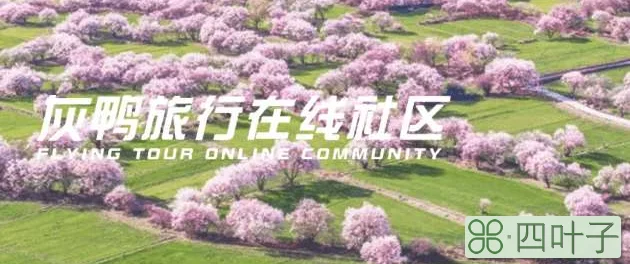 3月份去哪旅游好(3月份国内最适合旅游8个地方)