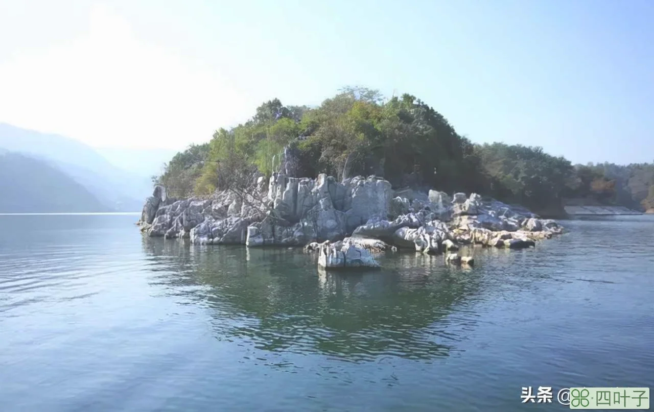秋天总要去一次千岛湖 l 千岛湖秋游全攻略，建议收藏