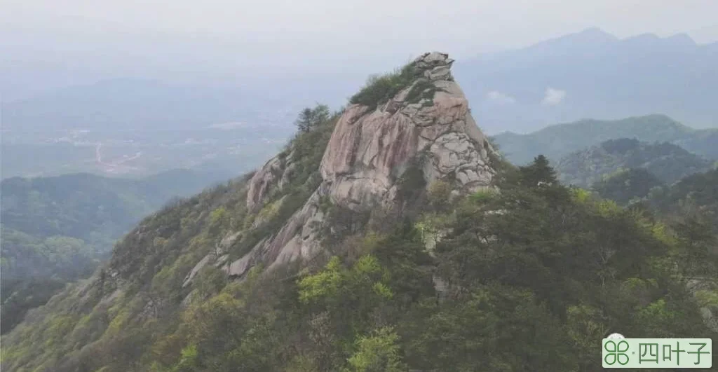 鸡公山好玩吗(信阳鸡公山一日游攻略)