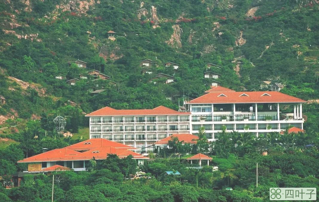 深圳青青世界值得去吗(深圳一日游必去的地方)