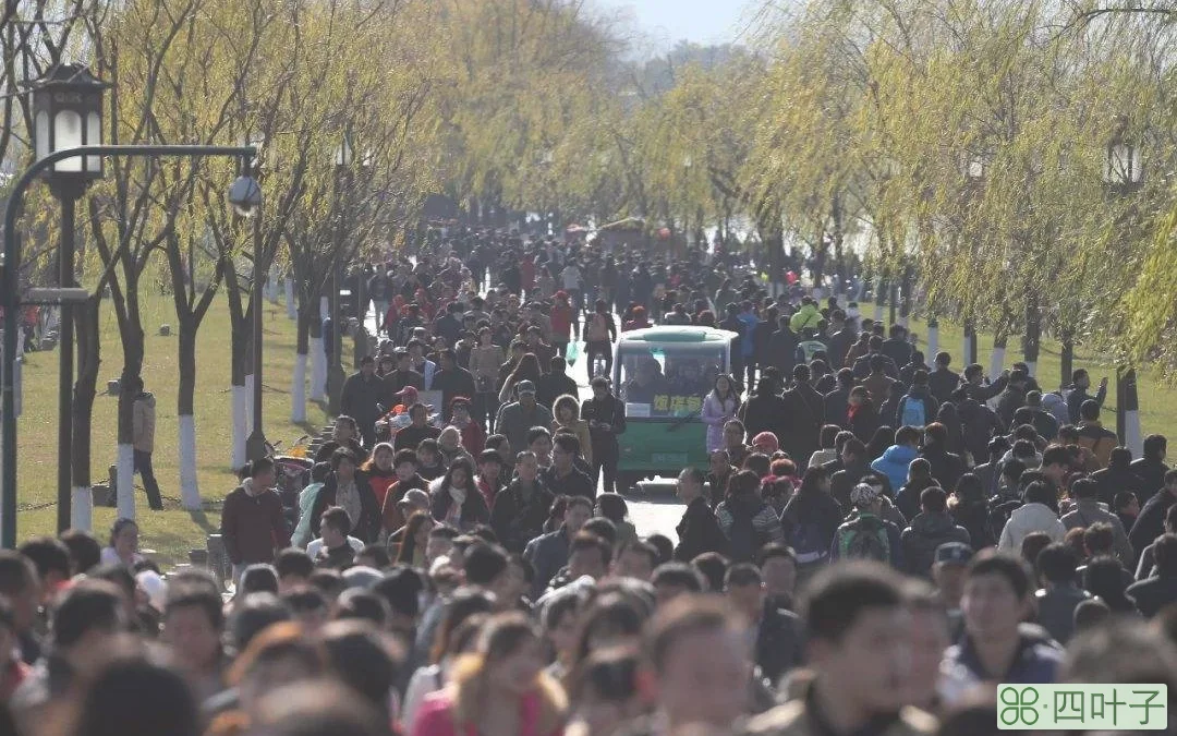 杭州西湖有多大，为何门票免费？5A级景区、世界遗产，杭州获利多