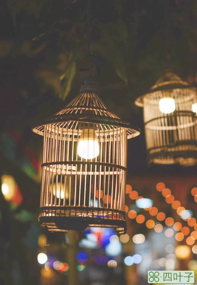 曼谷摩天轮夜市攻略(曼谷摩天轮夜市地址及营业时间)插图(8) 曼谷摩天轮夜市攻略(曼谷摩天轮夜市地址及营业时间)插图(8)