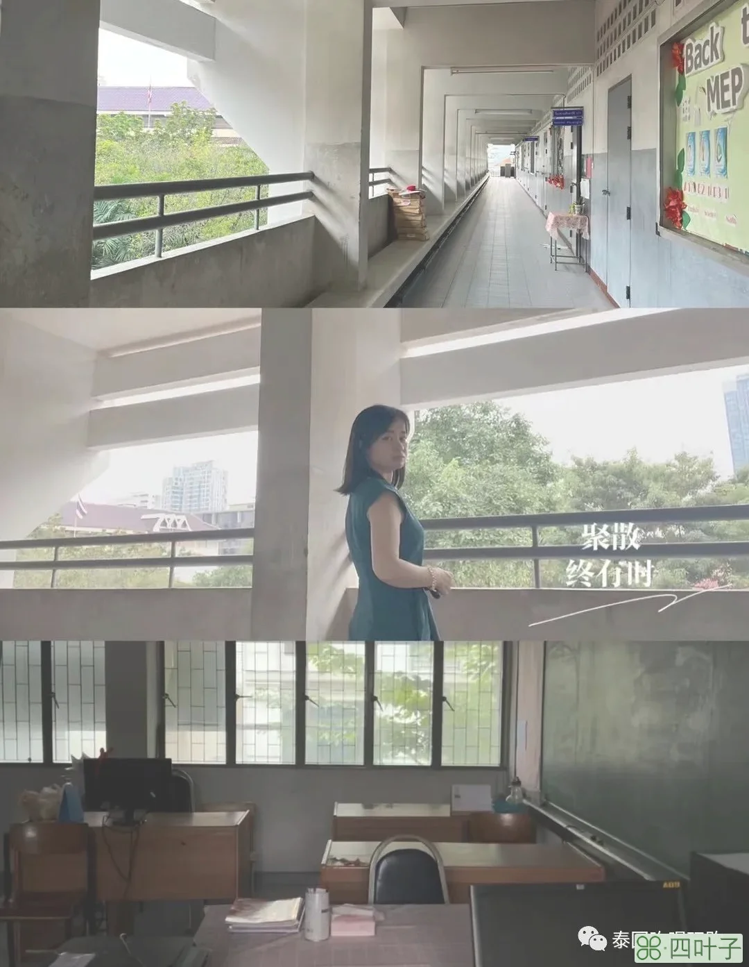 我在泰国教中文（17）聚散终有时，林老师