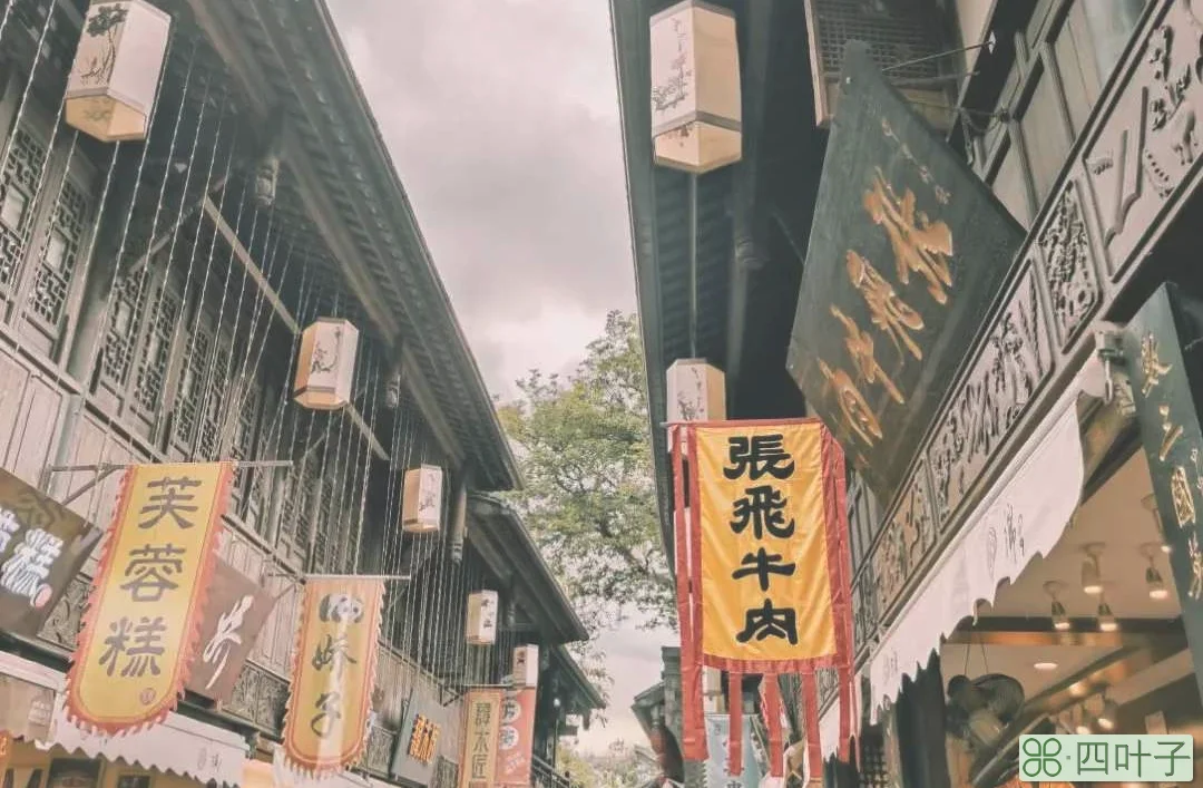 成都旅游攻略三日游(三日游最佳路线安排)插图7 成都最全旅游攻略,三日游这样安排最合理
