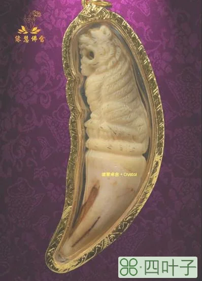 龙婆本佛历2538-2545大型猛兽牙虎王佛牌