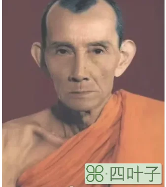龙婆贵2500维曼崇迪怎么样(2500维曼崇迪功效及价格)