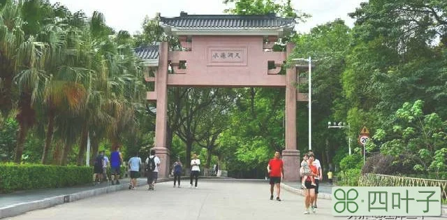 水濂山森林公园在哪里(水濂山森林公园位置及简介)