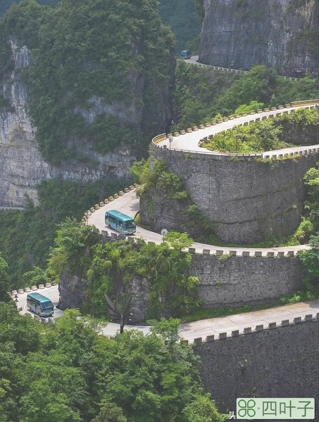 张家界旅游必看攻略(旅游攻略景点必去)插图2 张家界旅游必玩的4个景点,没去过等于白去,老司机的经验之谈