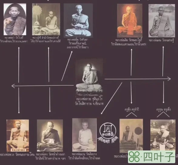 龙婆贵2500维曼崇迪怎么样(2500维曼崇迪功效及价格)插图(9)