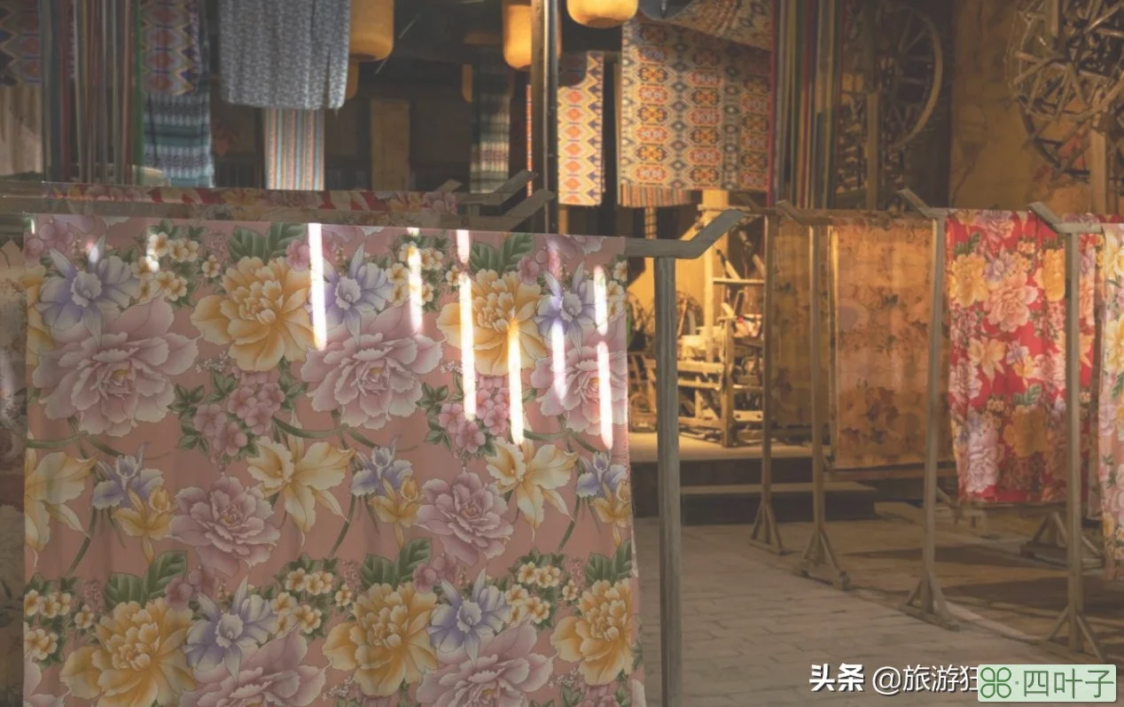 张家界旅游必看攻略(旅游攻略景点必去)插图14 张家界旅游必玩的4个景点,没去过等于白去,老司机的经验之谈