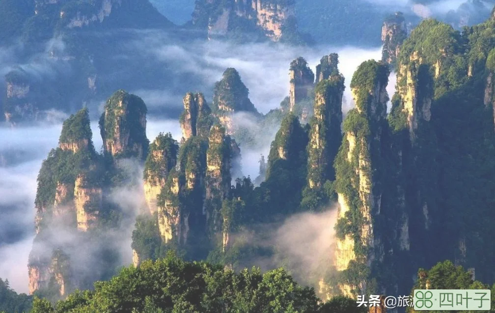 张家界旅游必看攻略(旅游攻略景点必去)插图4 张家界旅游必玩的4个景点,没去过等于白去,老司机的经验之谈