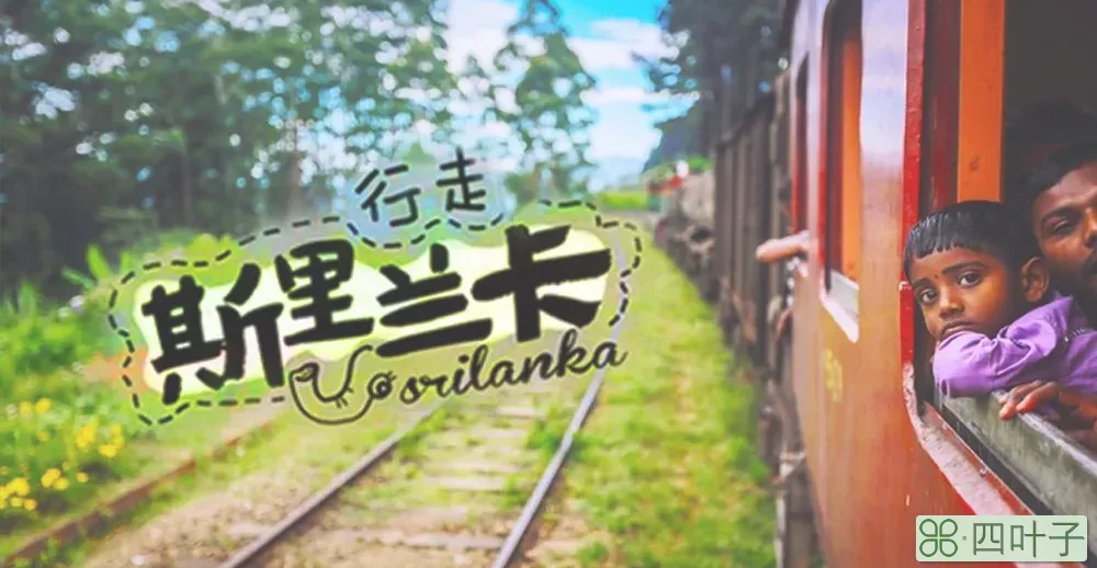 龙游仙踪旅行网(龙游网)