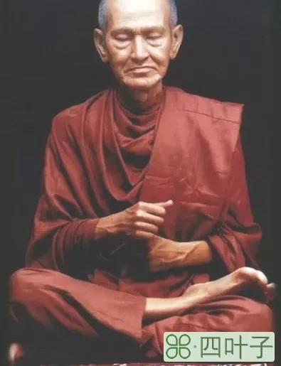 阿赞多崇迪碎片好吗(阿赞多崇迪碎片详细介绍)插图(4) 泰国九大圣僧之一阿赞多师傅“崇迪碎片”