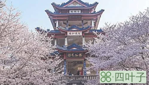 无锡三日游攻略(无锡三天两夜旅游