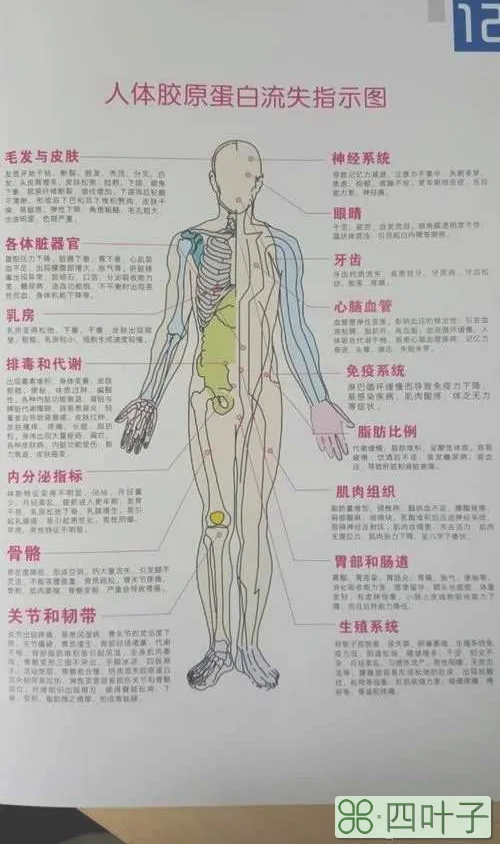 泰国colly胶原蛋白，泰国代购直邮本土原装正品