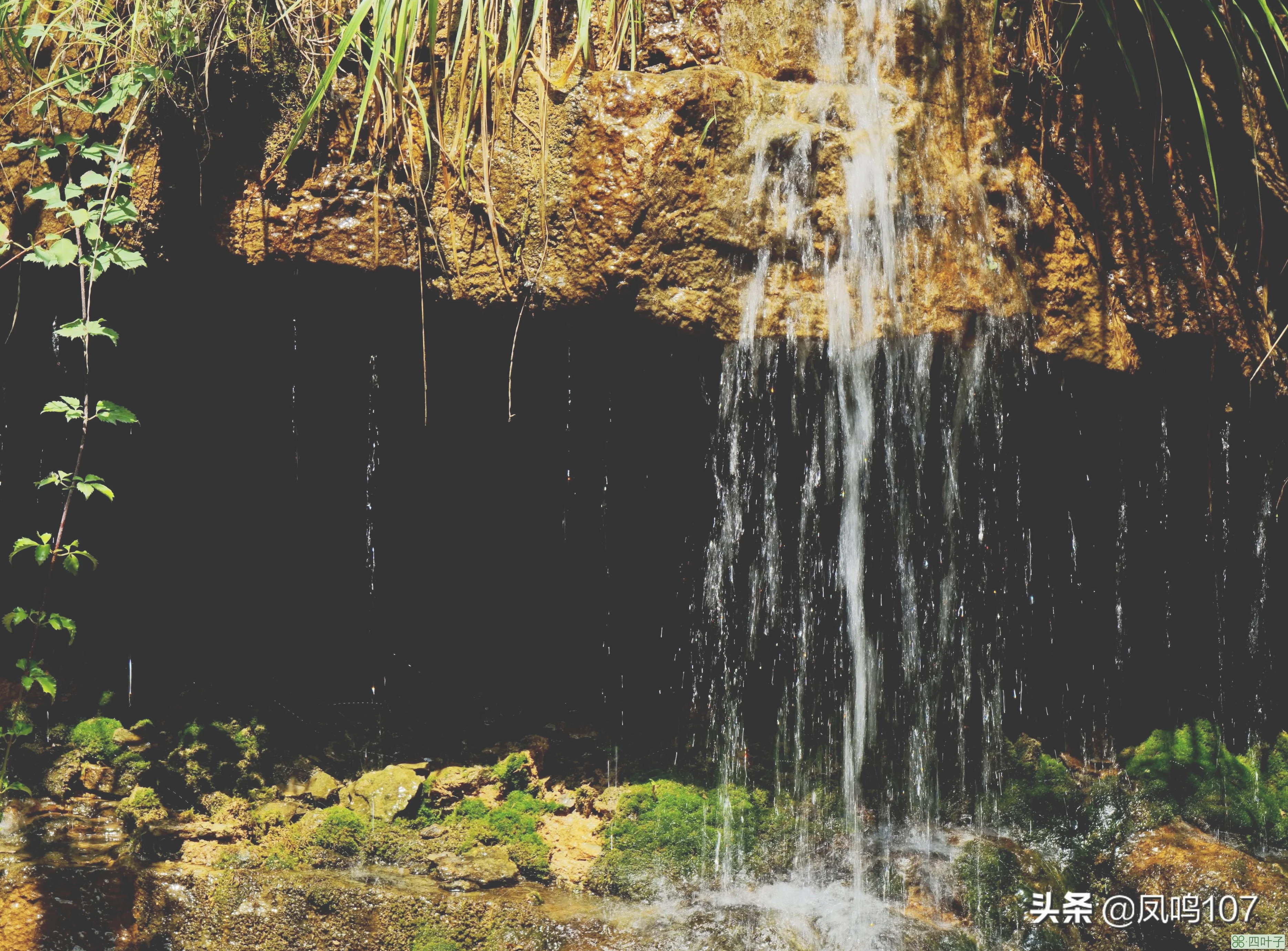 青州黄花溪(青州黄花溪风景区旅游攻略)插图(5)