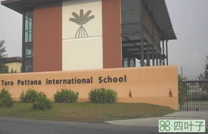 泰国芭提雅国际学校排名(芭提雅国际学校排行榜)插图(9)