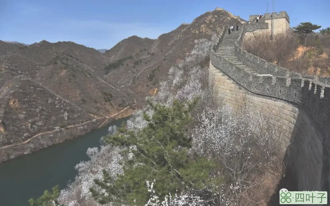 北京：山花烂漫水长城