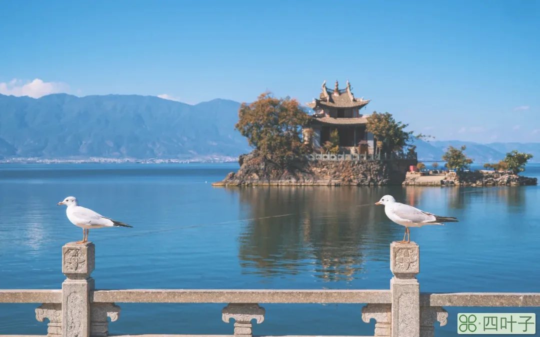 大理游玩攻略自由行(一个人去大理旅游自由行攻略)