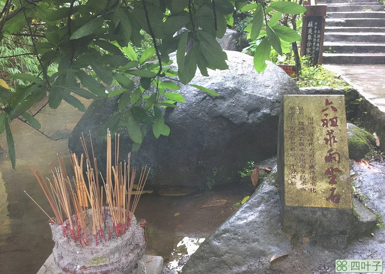 藏佛坑(新兴藏佛坑门票)