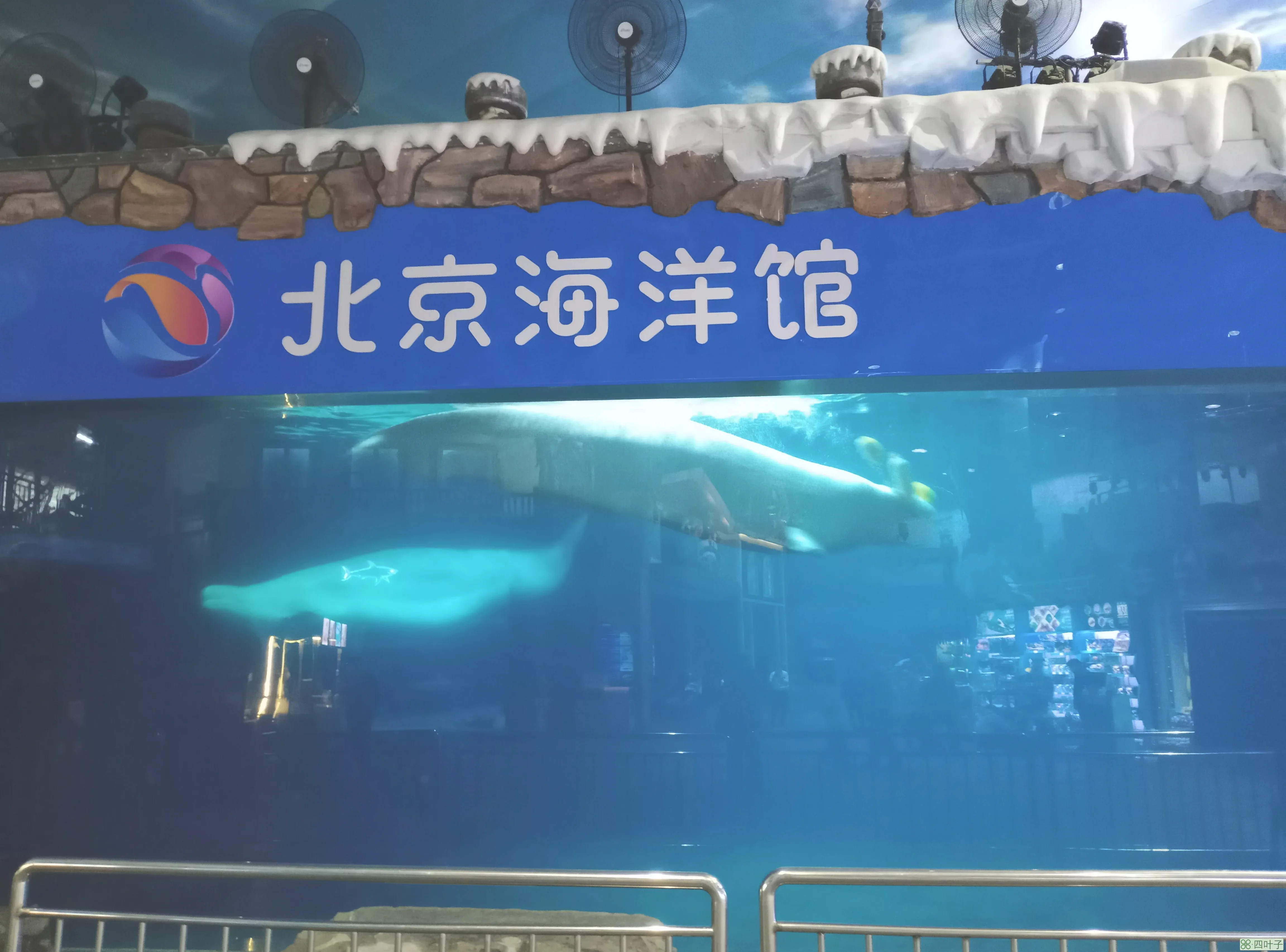 北京动物园海洋馆