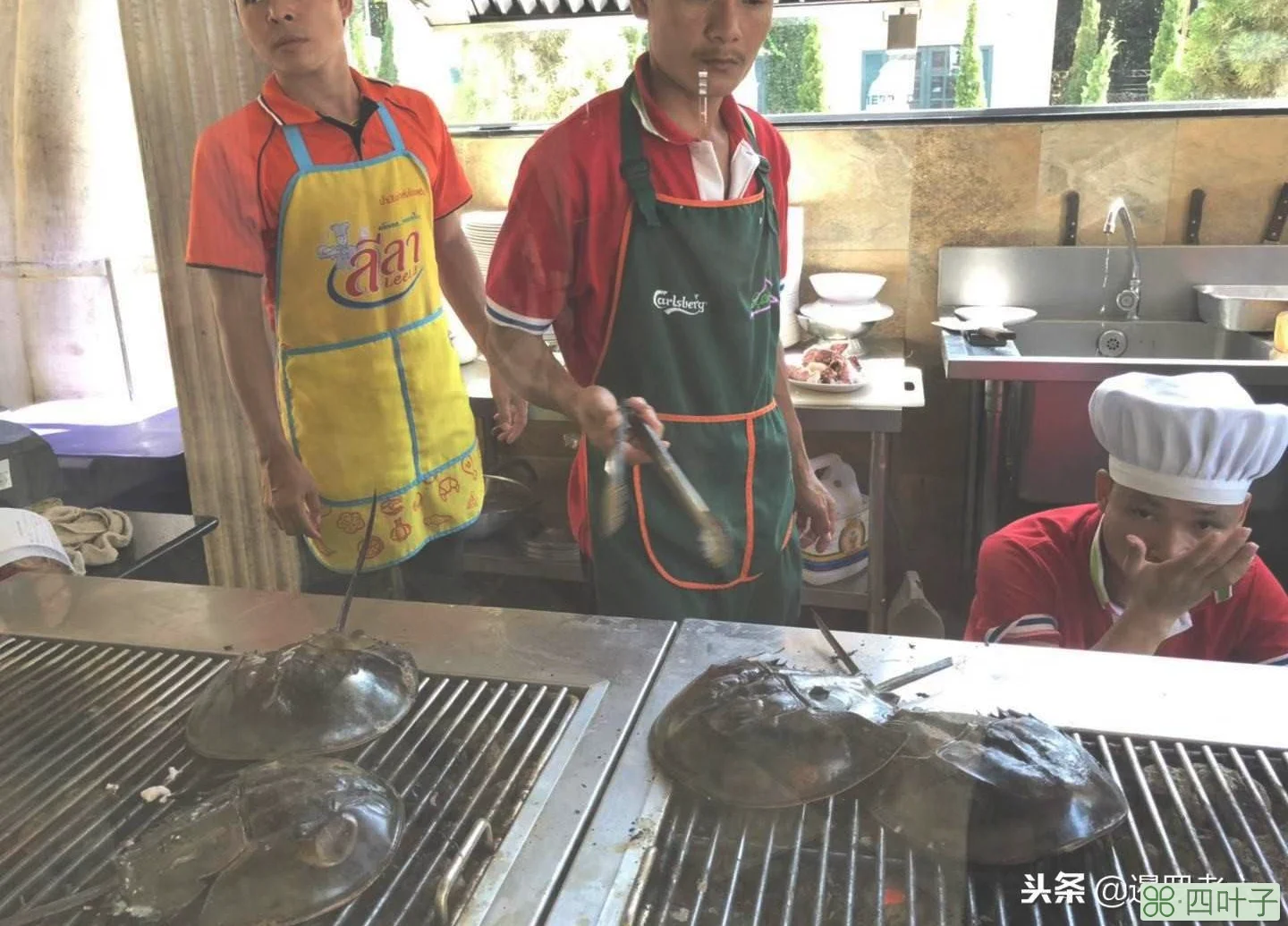 龙虾王每公斤800元,海鲈鱼一条90元