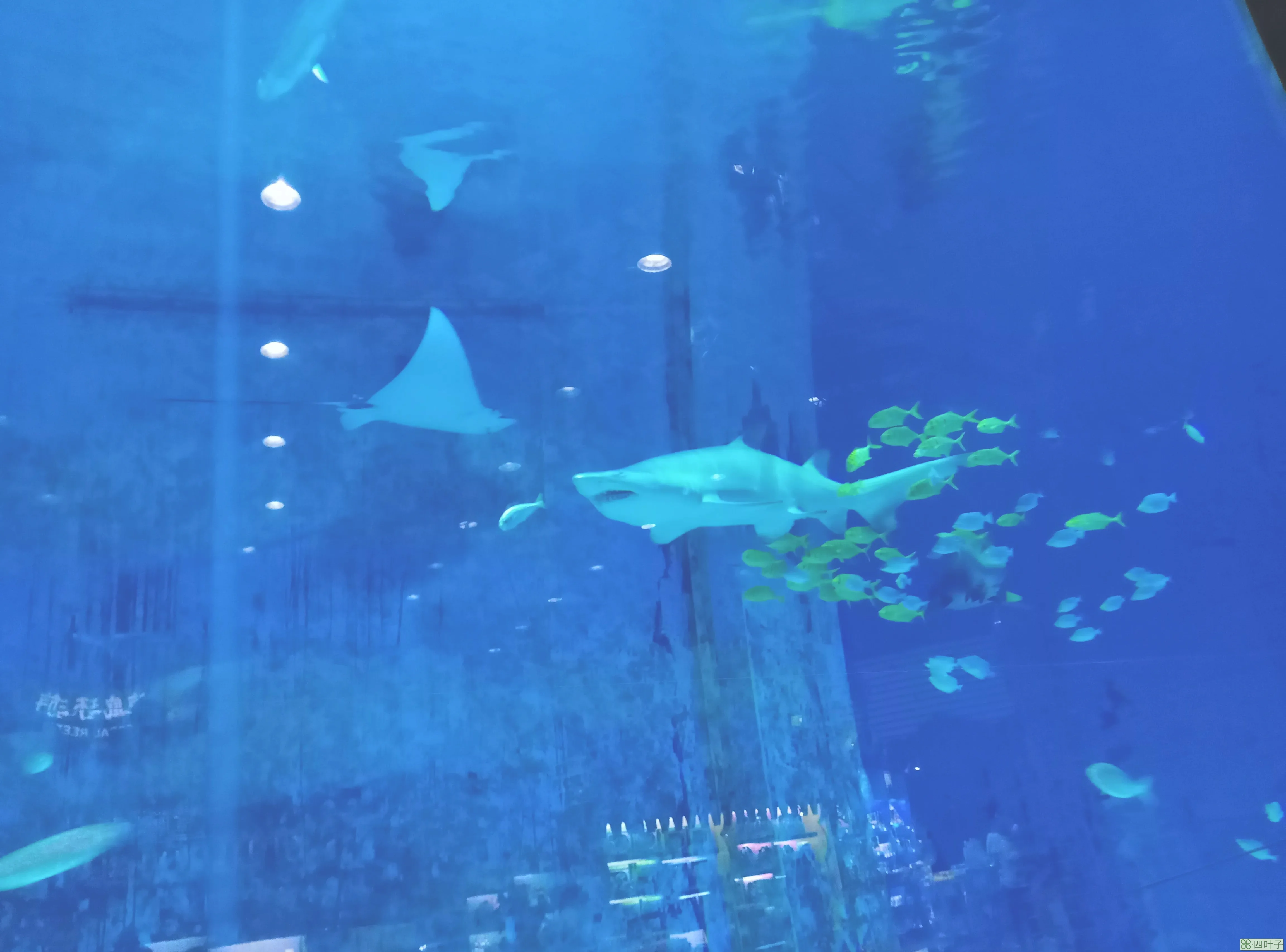 北京动物园海洋馆