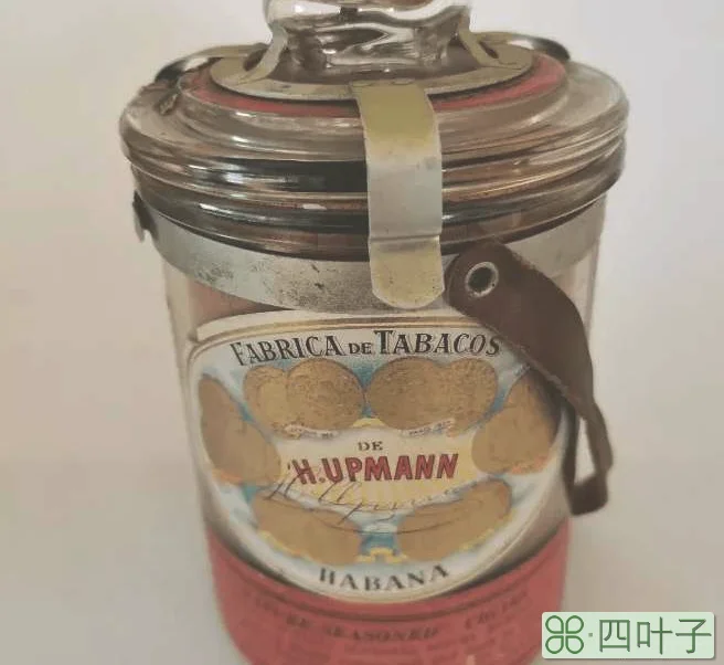 雪茄一定要用保湿盒保存吗(雪茄保湿罐的5个优势)