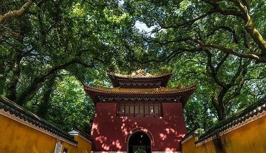 去普陀山有没有什么注意的