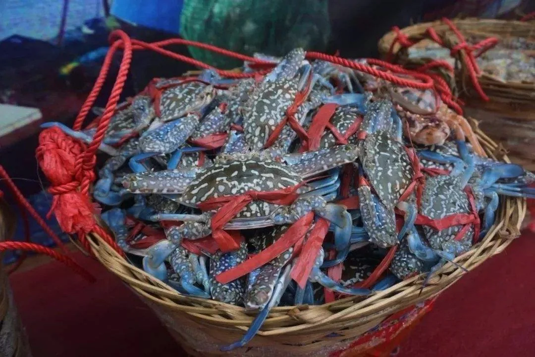 北海海鲜什么品种好吃