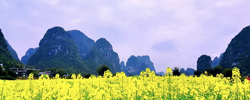 阳朔十里画廊可以开车进去吗?