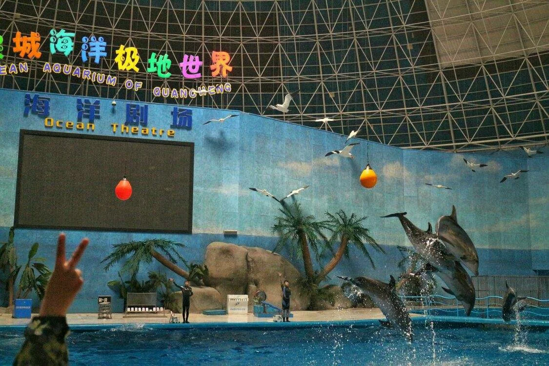 德州的旅游景点
