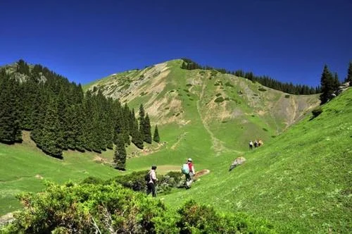 南山牧场4大景点