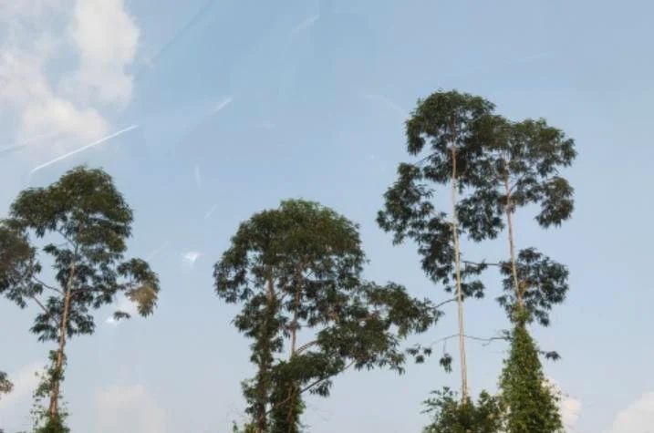 大隆洞水库几个露营地点