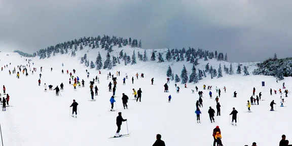 安吉滑雪场是真雪吗