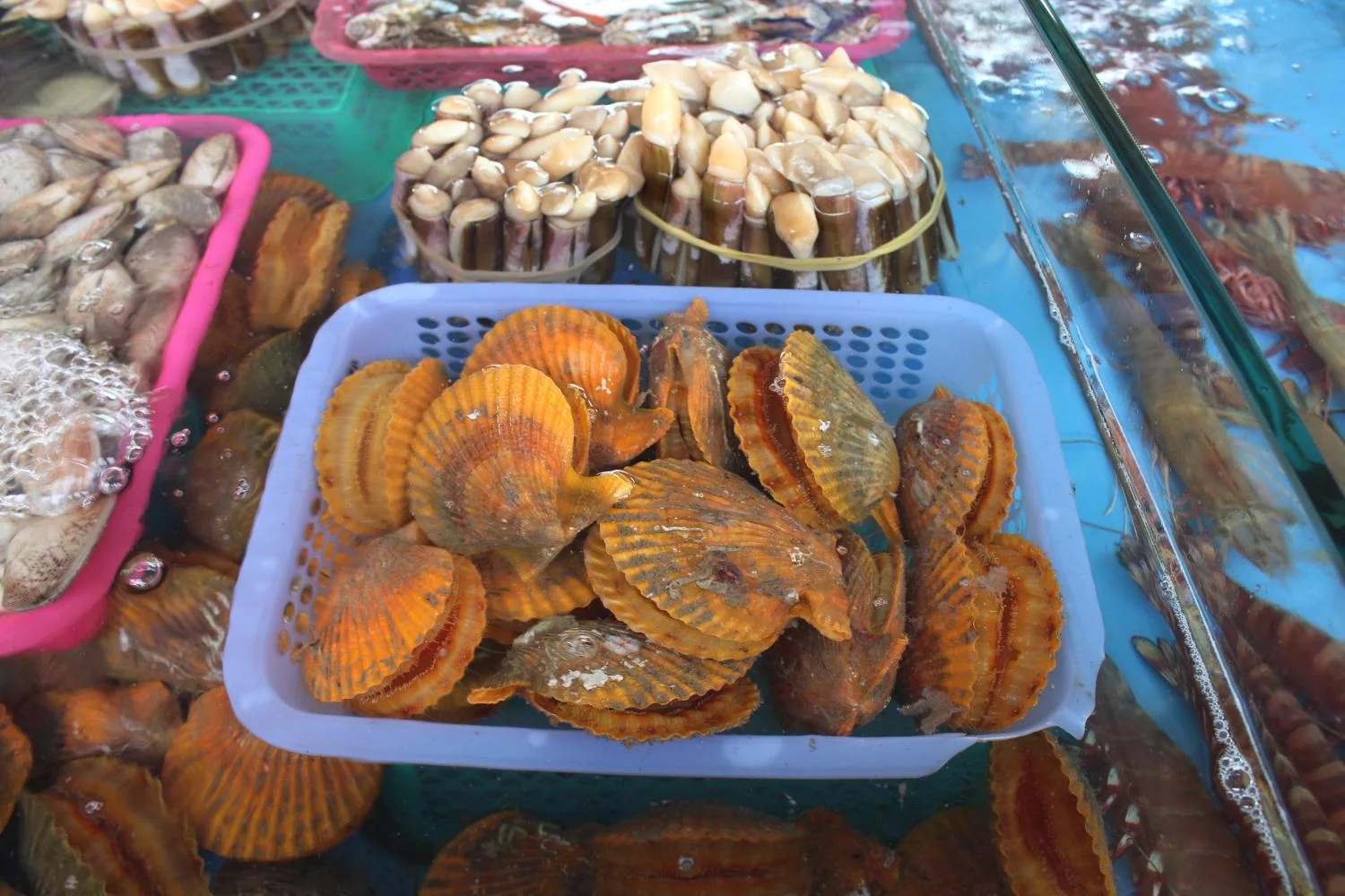 三亚海鲜能带上飞机吗