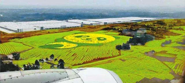 空港花田开放时间