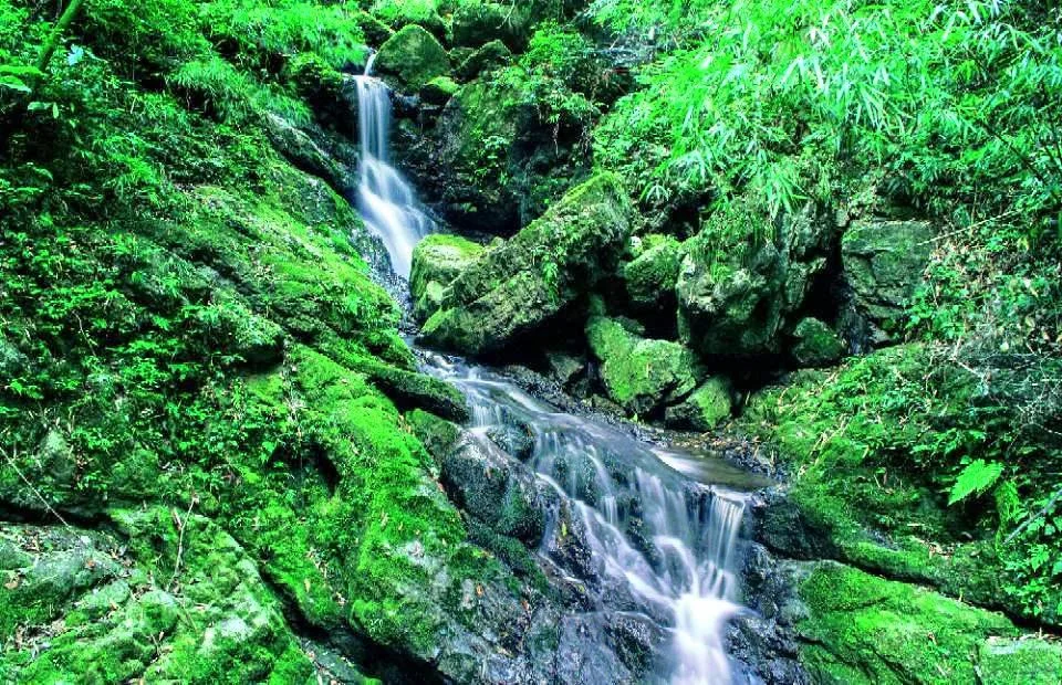 黑山谷风景区简介