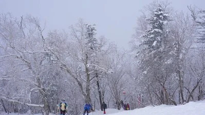 雪乡和雪谷的区别