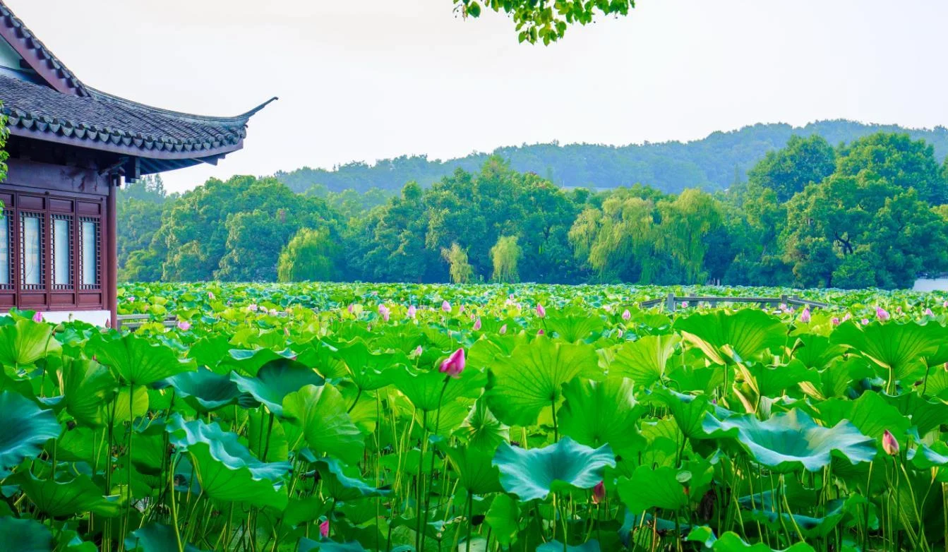 杭州西湖景点介绍