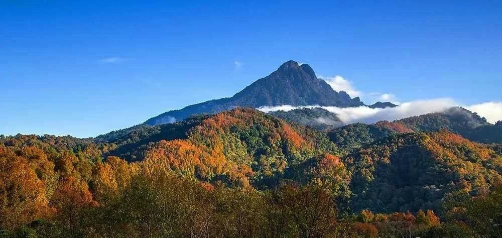 海南有什么山