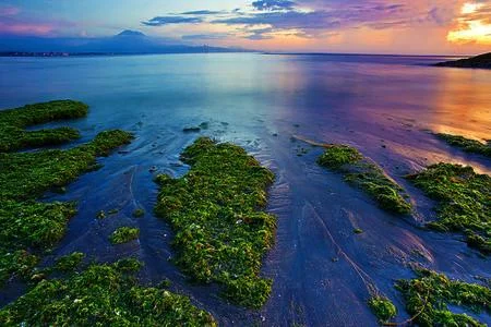 国内的海岛都有哪些