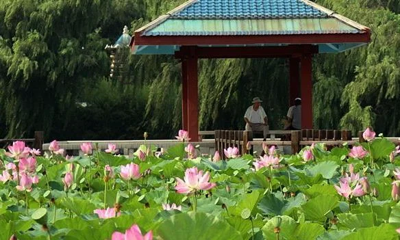 泰安不花钱的好景点