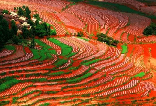 东川红土地最佳旅游时间
