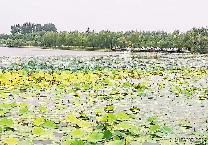 沈阳景点:冬雪湖公园