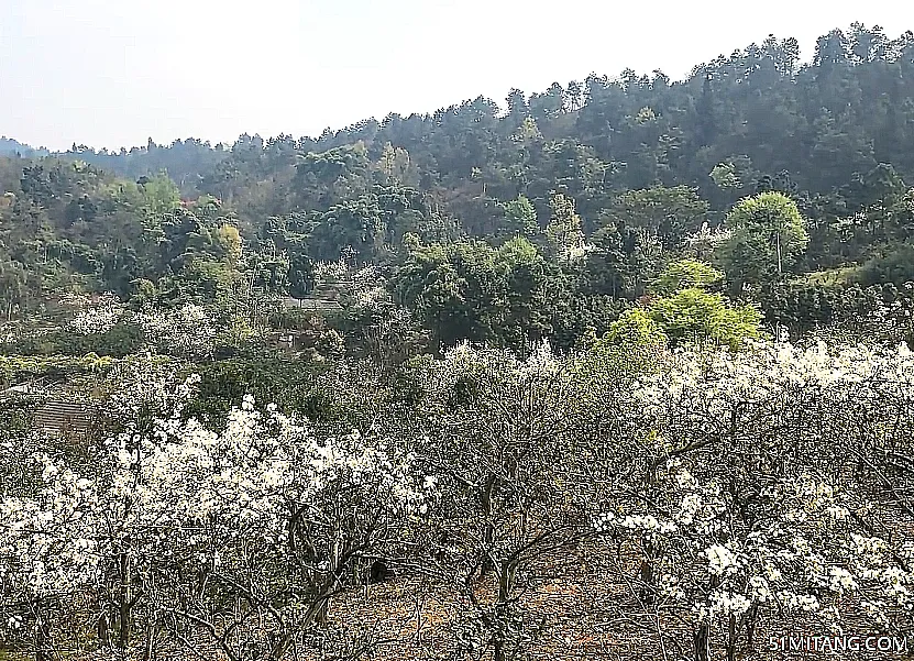 朝阳景点:骆驼山子风景区